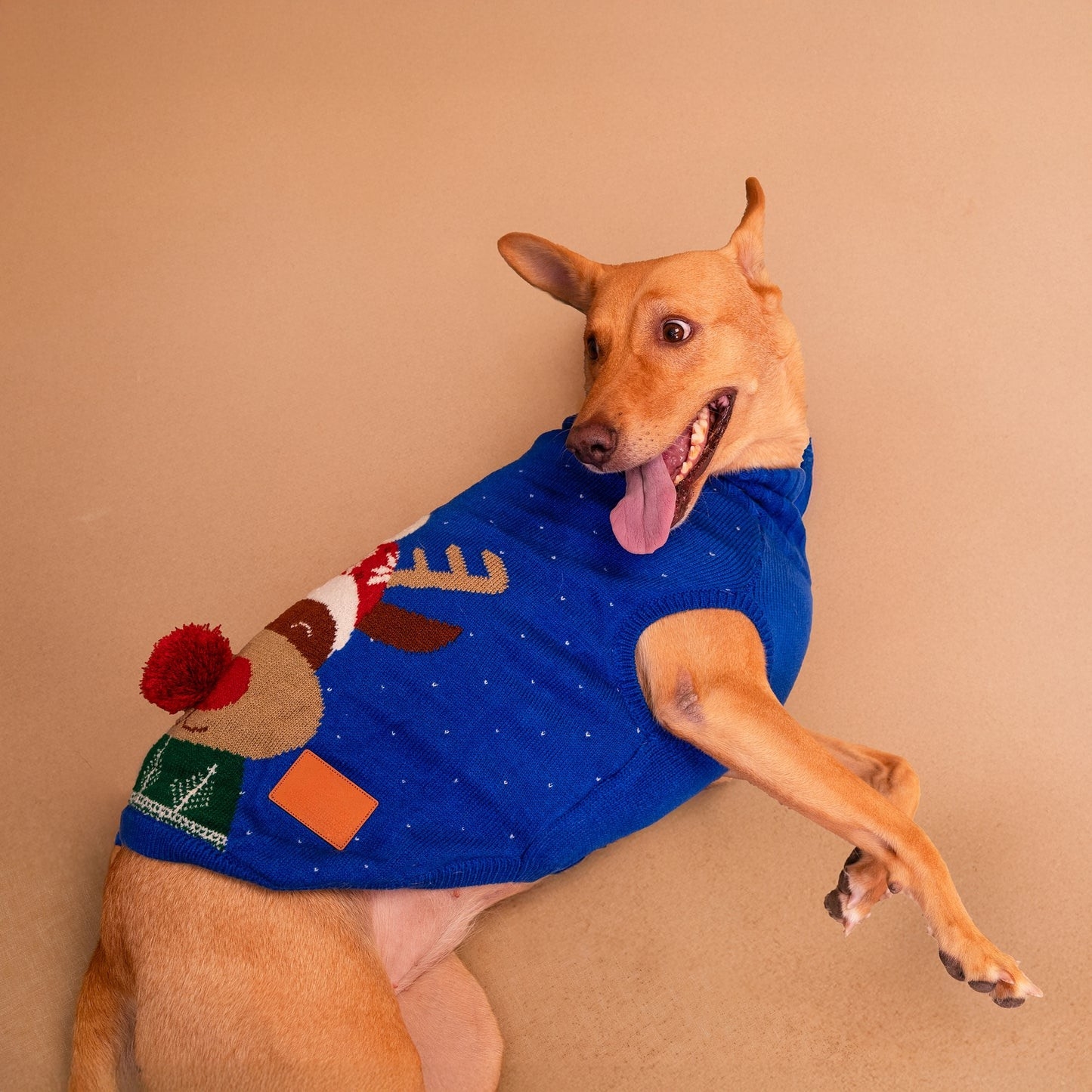 Reindeer Cheer 3D-Pompom Dog Sweater