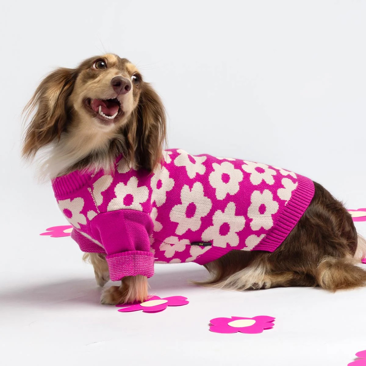 Spring Blossom Jacquard Pet Sweater