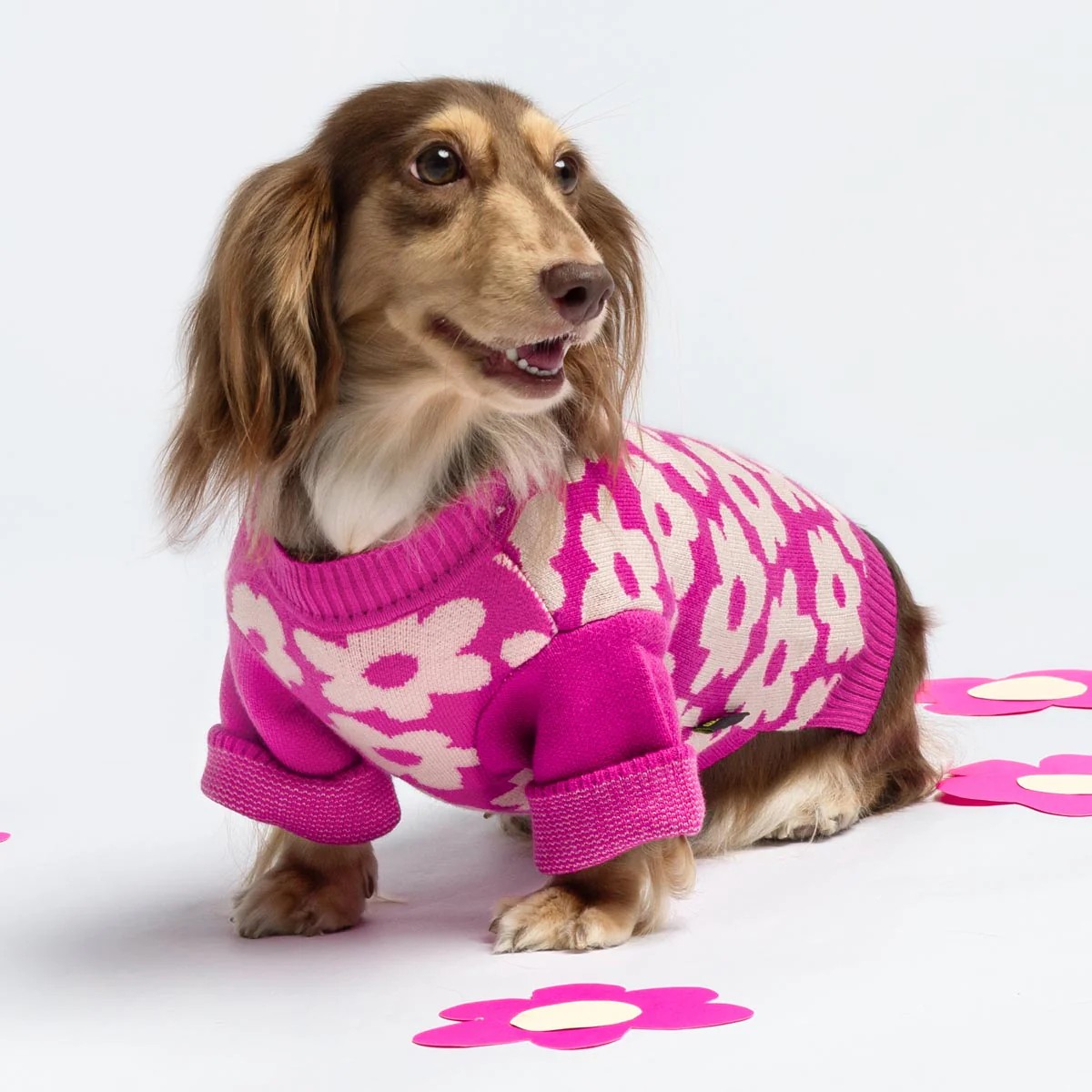 Spring Blossom Jacquard Pet Sweater