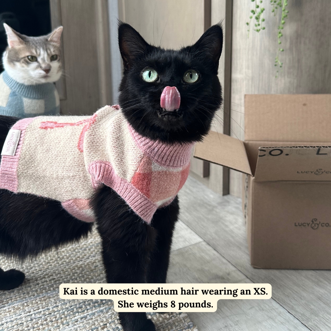 Take a Bow Geometric Pet Sweater