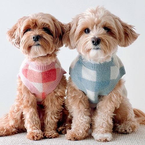 Take a Bow Geometric Pet Sweater