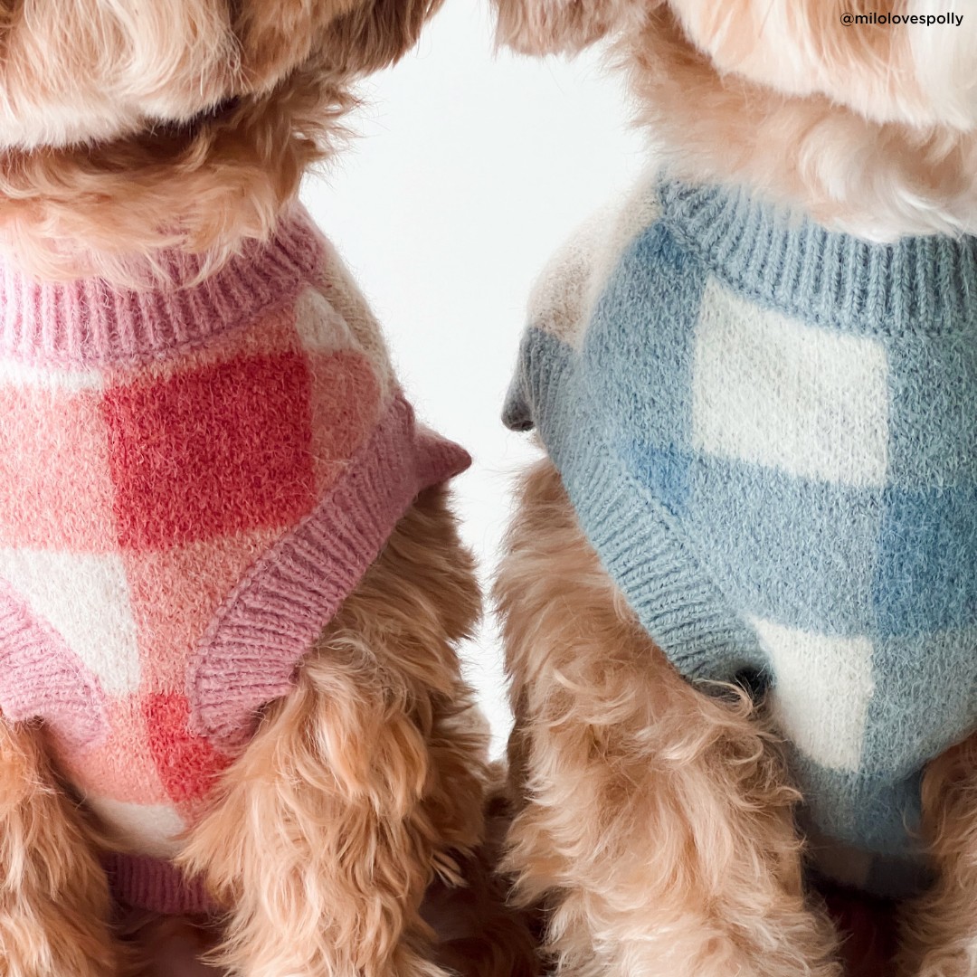 Take a Bow Geometric Pet Sweater
