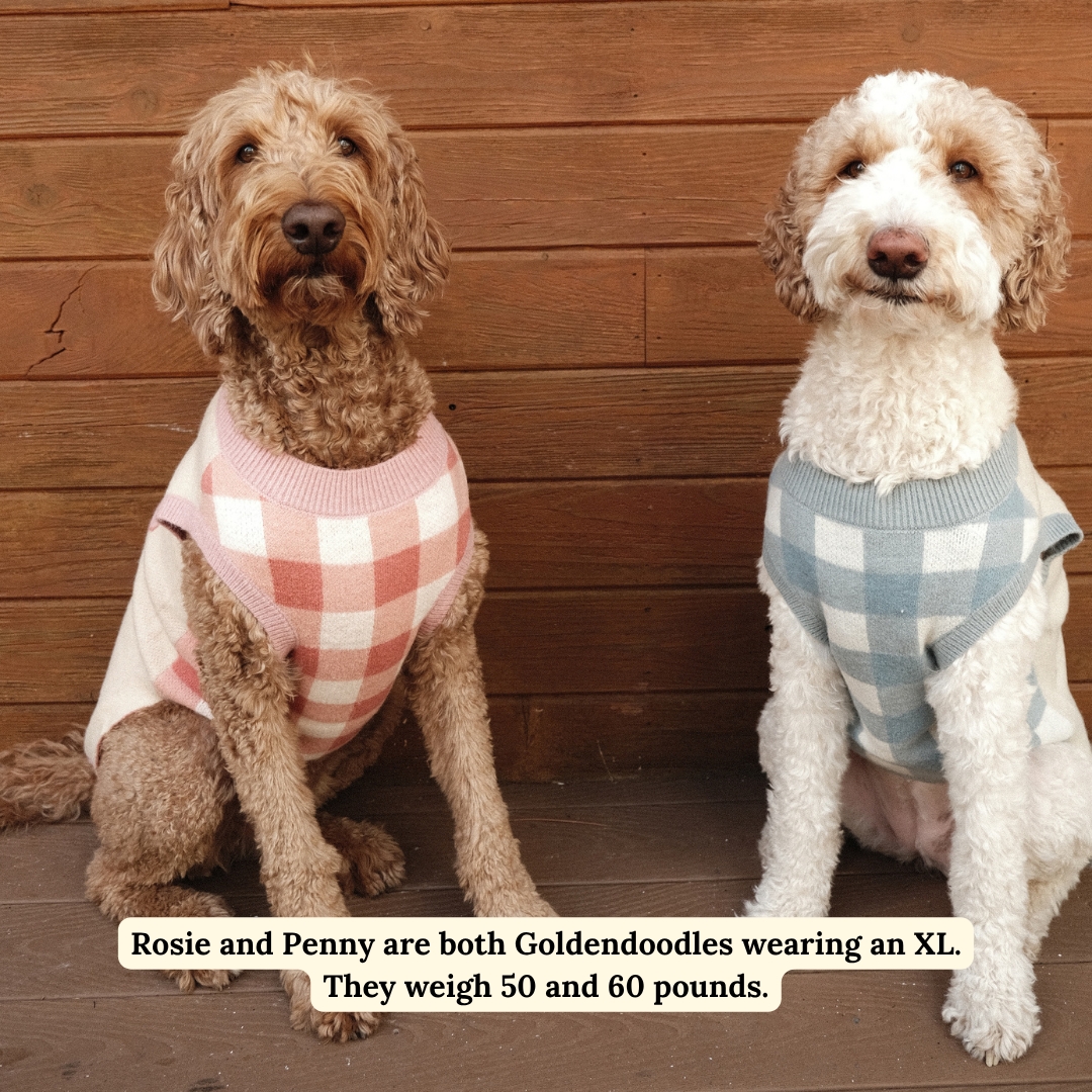 Take a Bow Geometric Pet Sweater