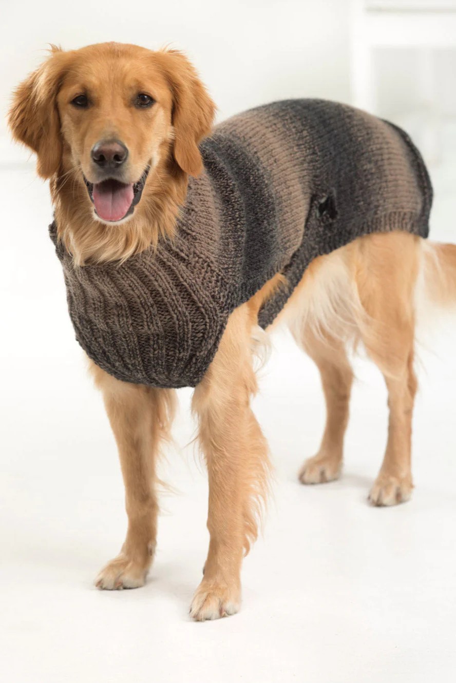 Urban Chunky Knit Dog Sweater