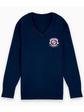 Lightweight Navy V-Neck School Jumper