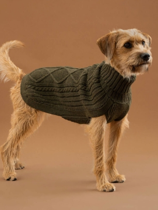 Forest Green Aran Alpaca Dog Sweater