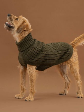 Forest Green Aran Alpaca Dog Sweater
