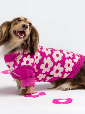 Spring Blossom Jacquard Pet Sweater