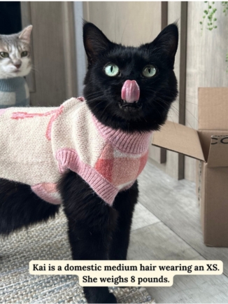 Take a Bow Geometric Pet Sweater