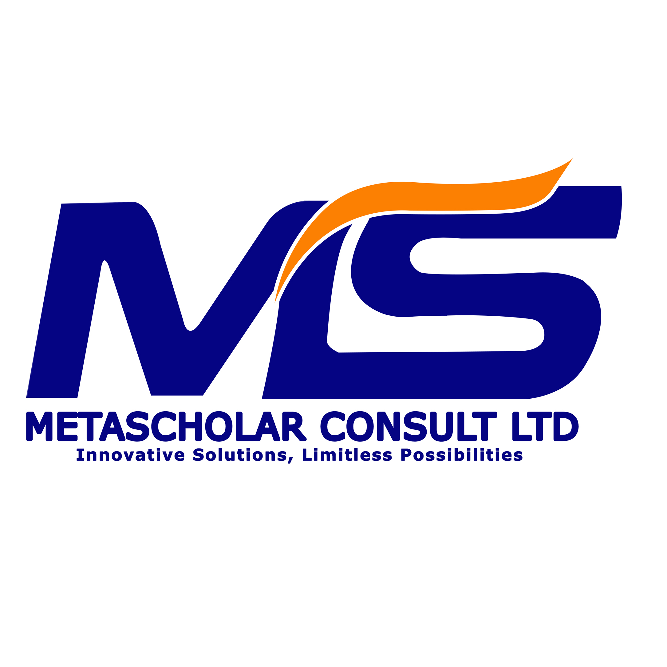 Metascholar Institute