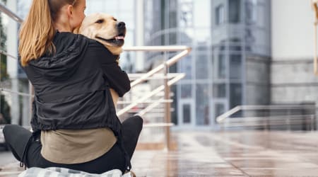 Cão de apoio emocional em voos: seus direitos e como proceder se a companhia recusar o embarque