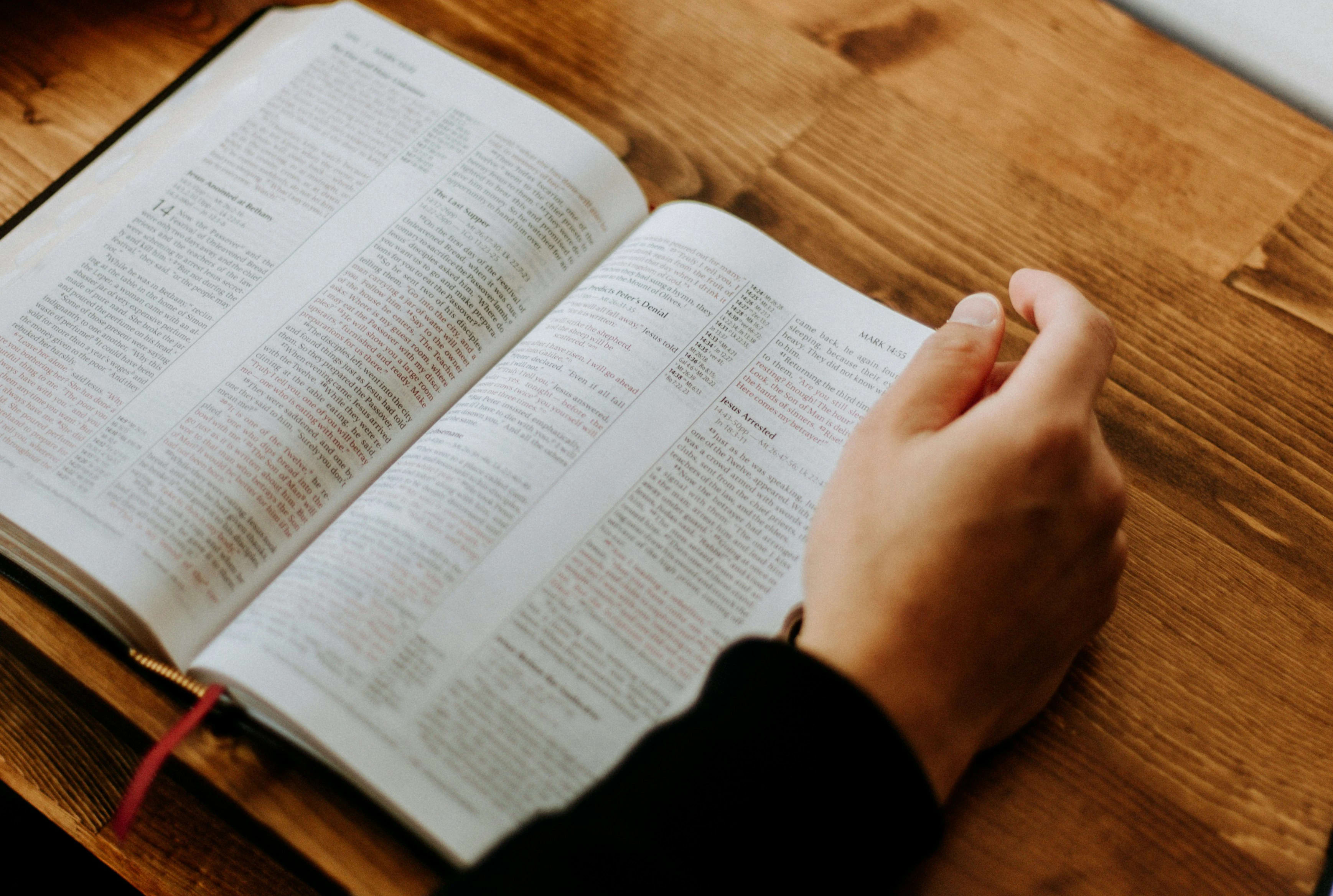 Reading To Speak: How reading can improve your speaking skills image