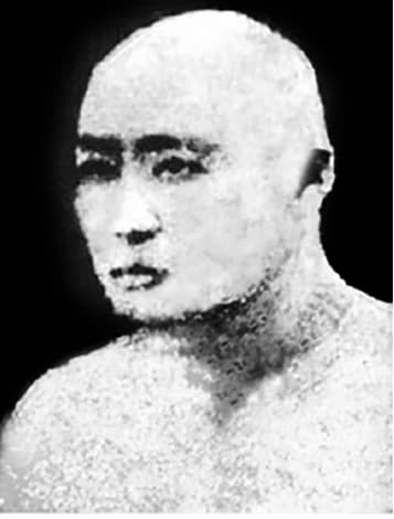 Biography of Yang Rui cover