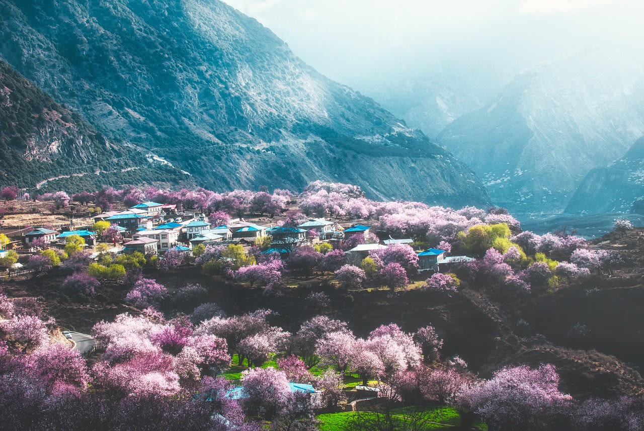 Spring cover