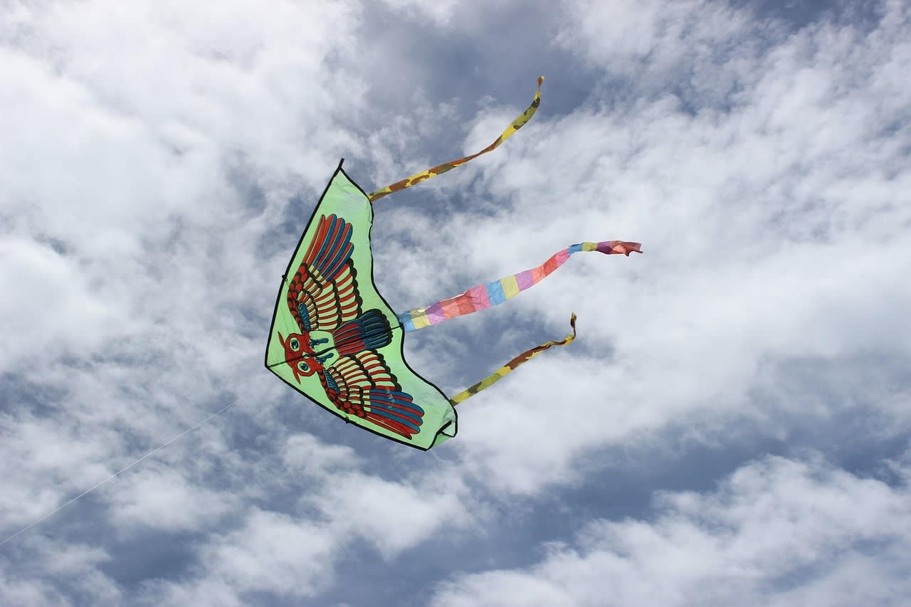 The Kite cover