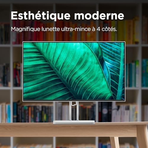 Vue 2 de Lenovo Lib Fhd Display