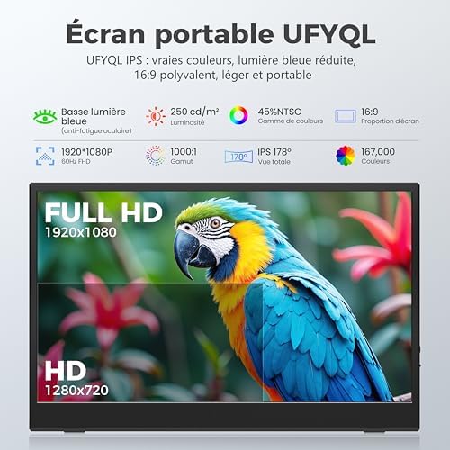 Vue 2 de Ecran Portable Full Hd