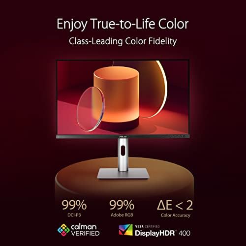 Vue 2 de Asus Proart Display Pacrv