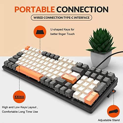 Vue 5 de Ziyou Lang Clavier