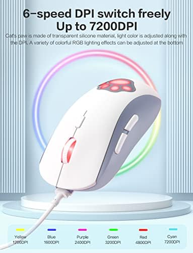 Vue 3 de Cat Claw Rgb Souris