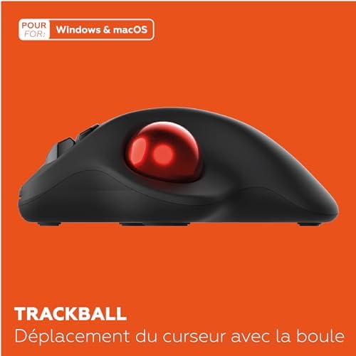 Vue 2 de Mobility Lab Souris Sans