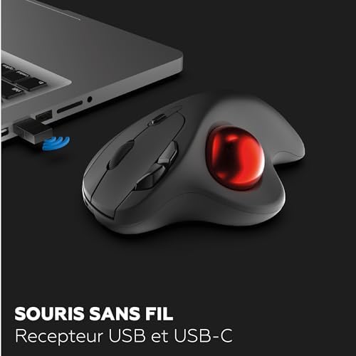Vue 3 de Mobility Lab Souris Sans