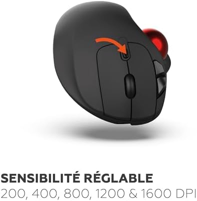 Vue 4 de Mobility Lab Souris Sans
