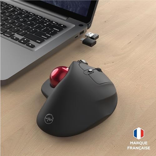Vue 7 de Mobility Lab Souris Sans