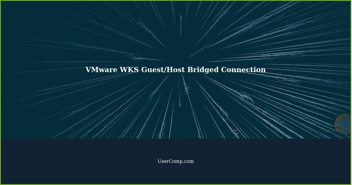 VMware WKS Guest/Host Bridged Connection