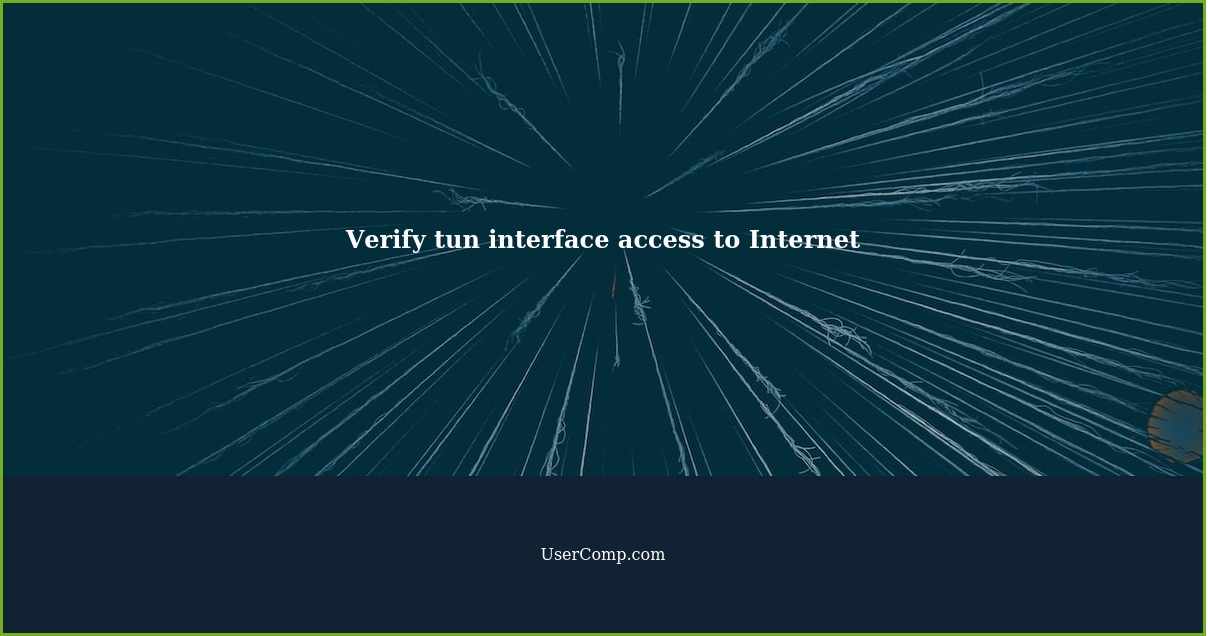 Verify tun interface access to Internet