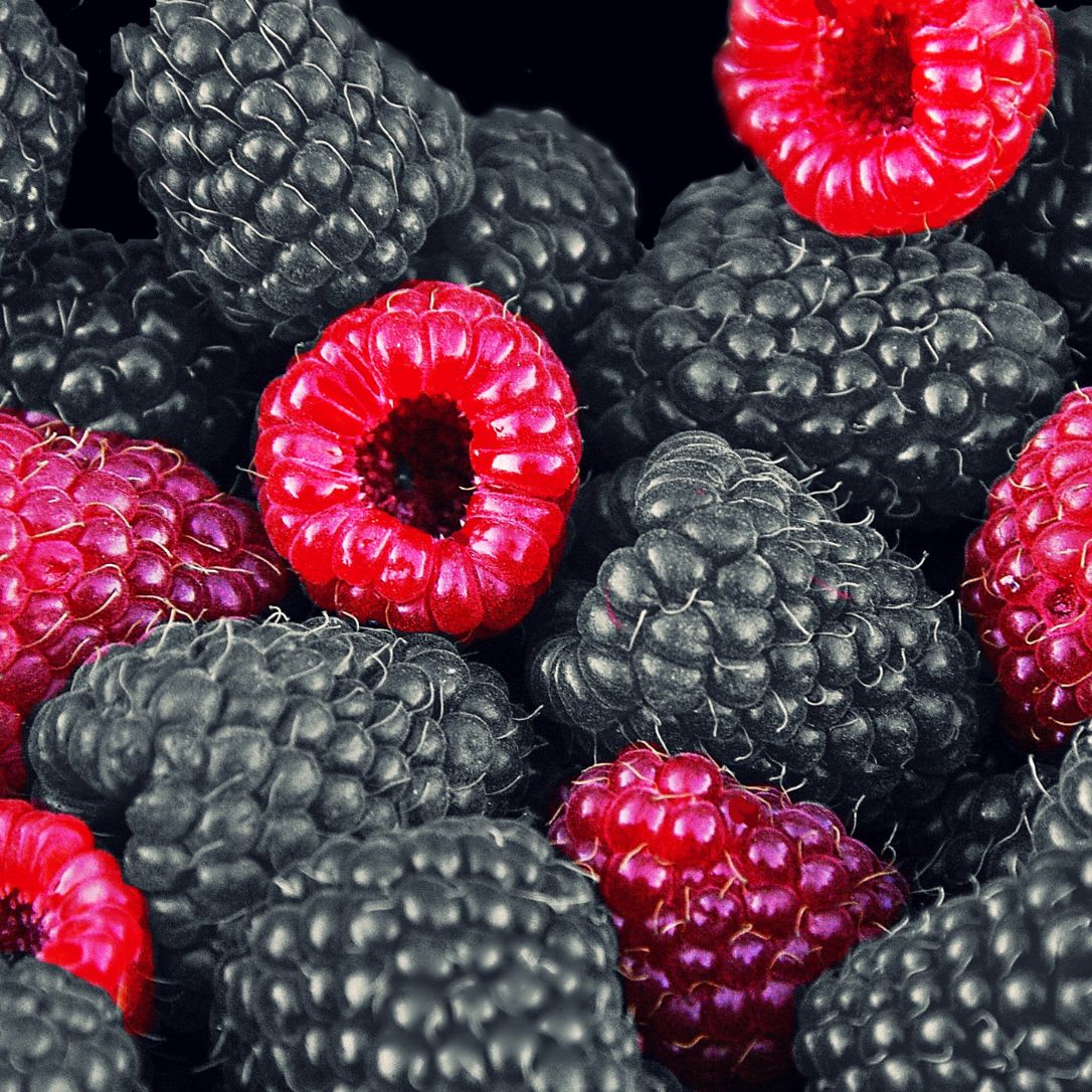 6 Black Berry - Image 1
