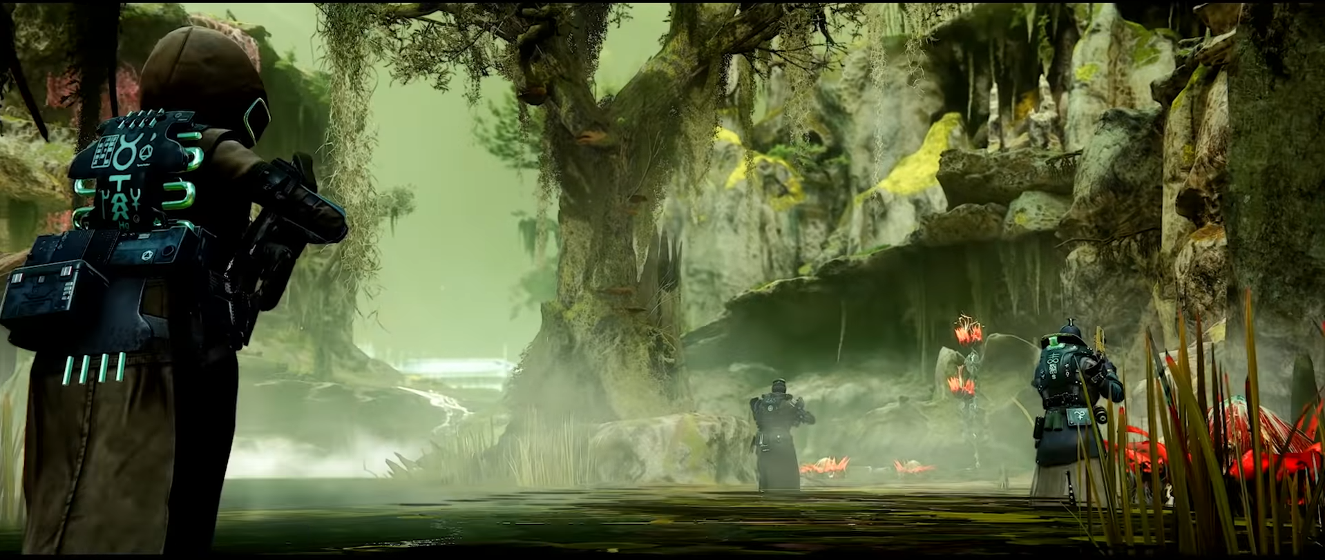 The Witch Queen's Swamp