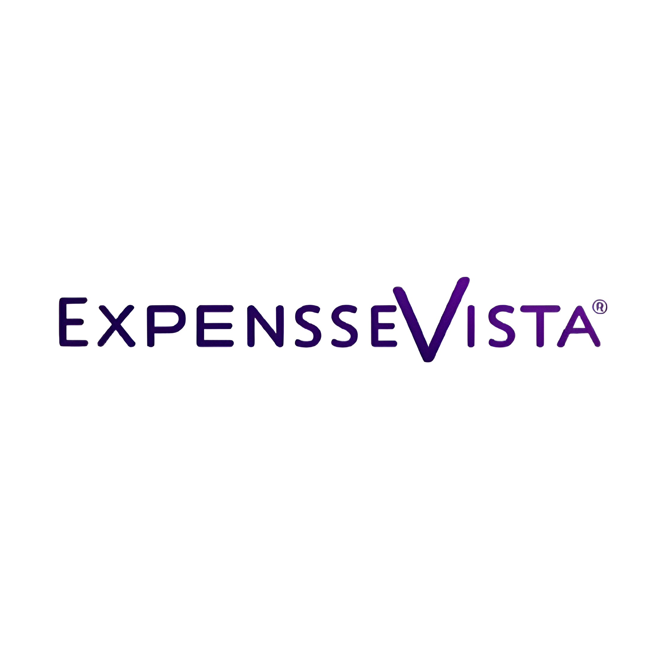 ExpenseVista Text Logo