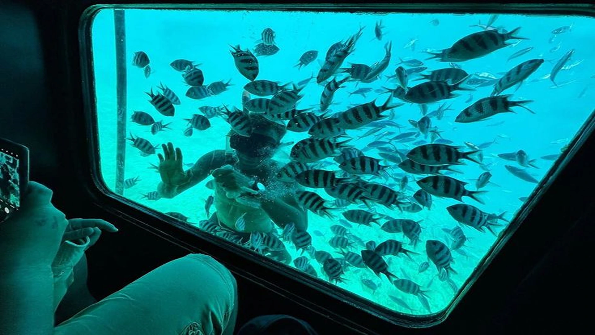 Submarine Discovery: Hurghada’s Hidden Reefs