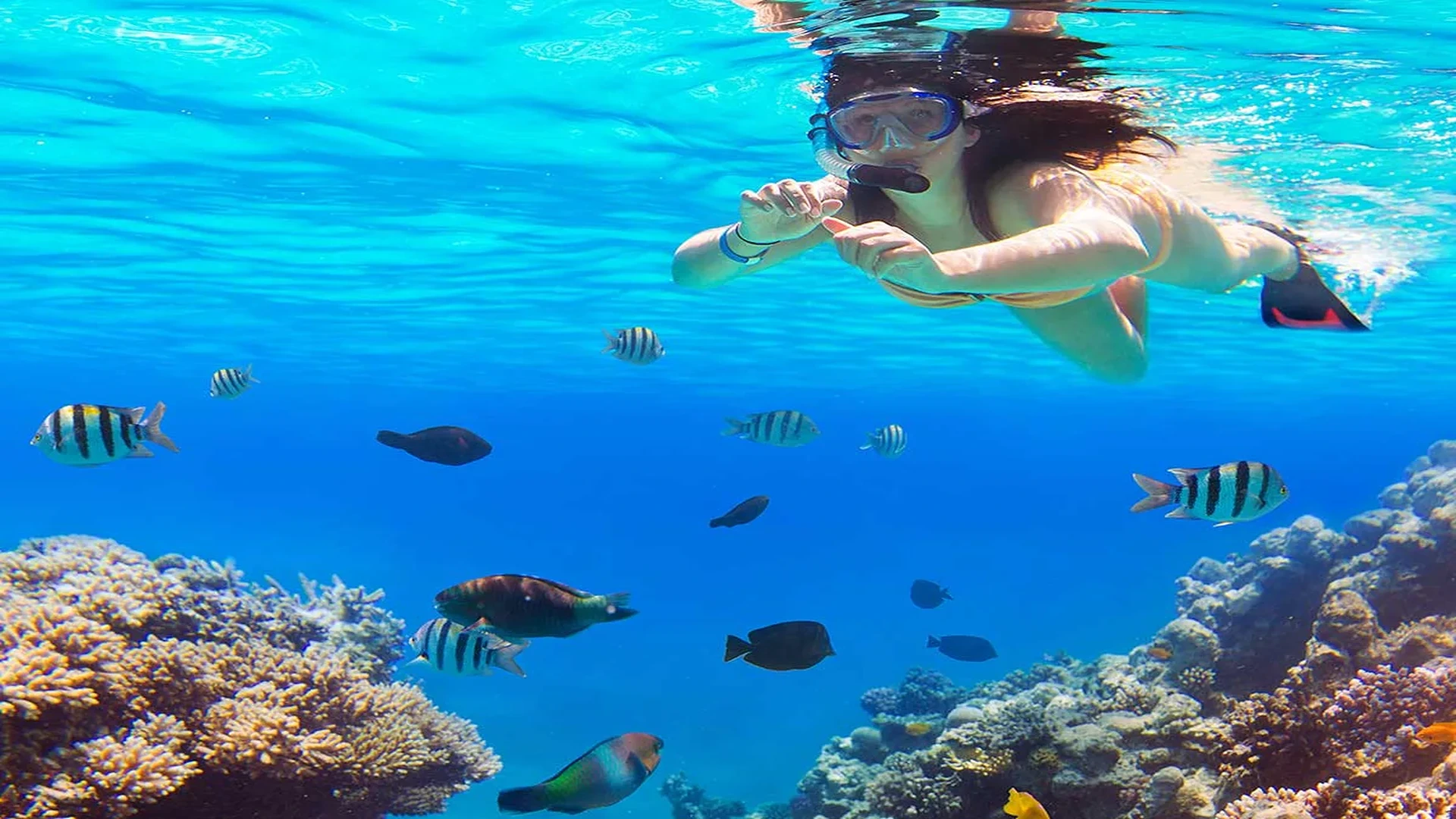 Red Sea Explorer: 3-Stop Snorkel Adventure | Hurghada