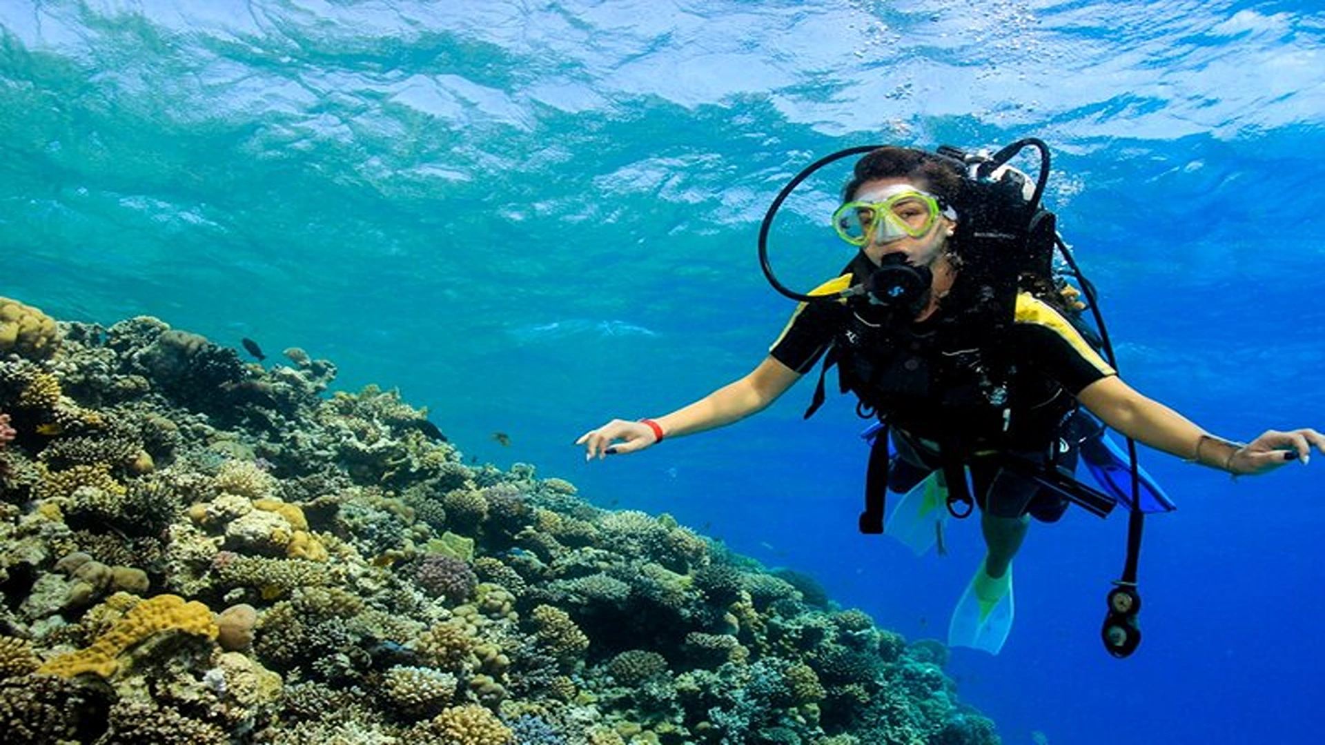 Marsa Alam Deep Blue: Elite Diving Adventure