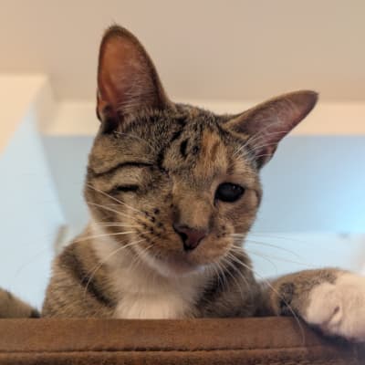 Beba looking curiously