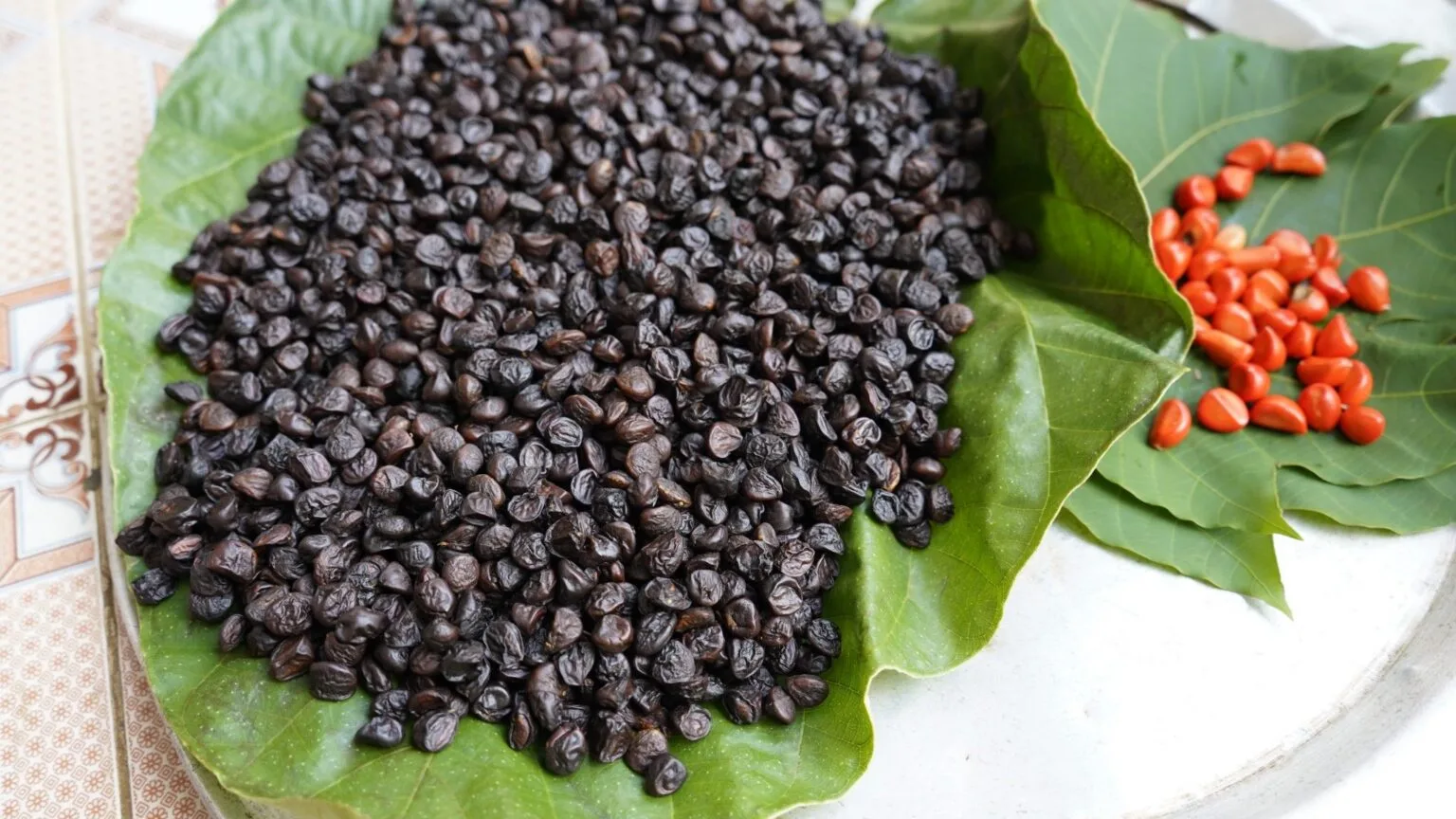 Cặp bài trùng Mắc khén và Hạt dổi tạo nên linh hồn cho ẩm thực Thái