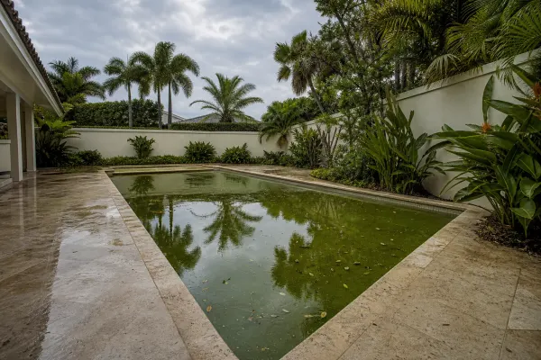 Why Is My Pool Green? How to Clear It Fast in Miami Heat