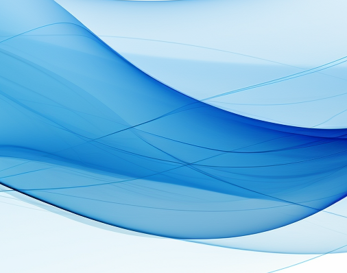 2. Understand the Organization