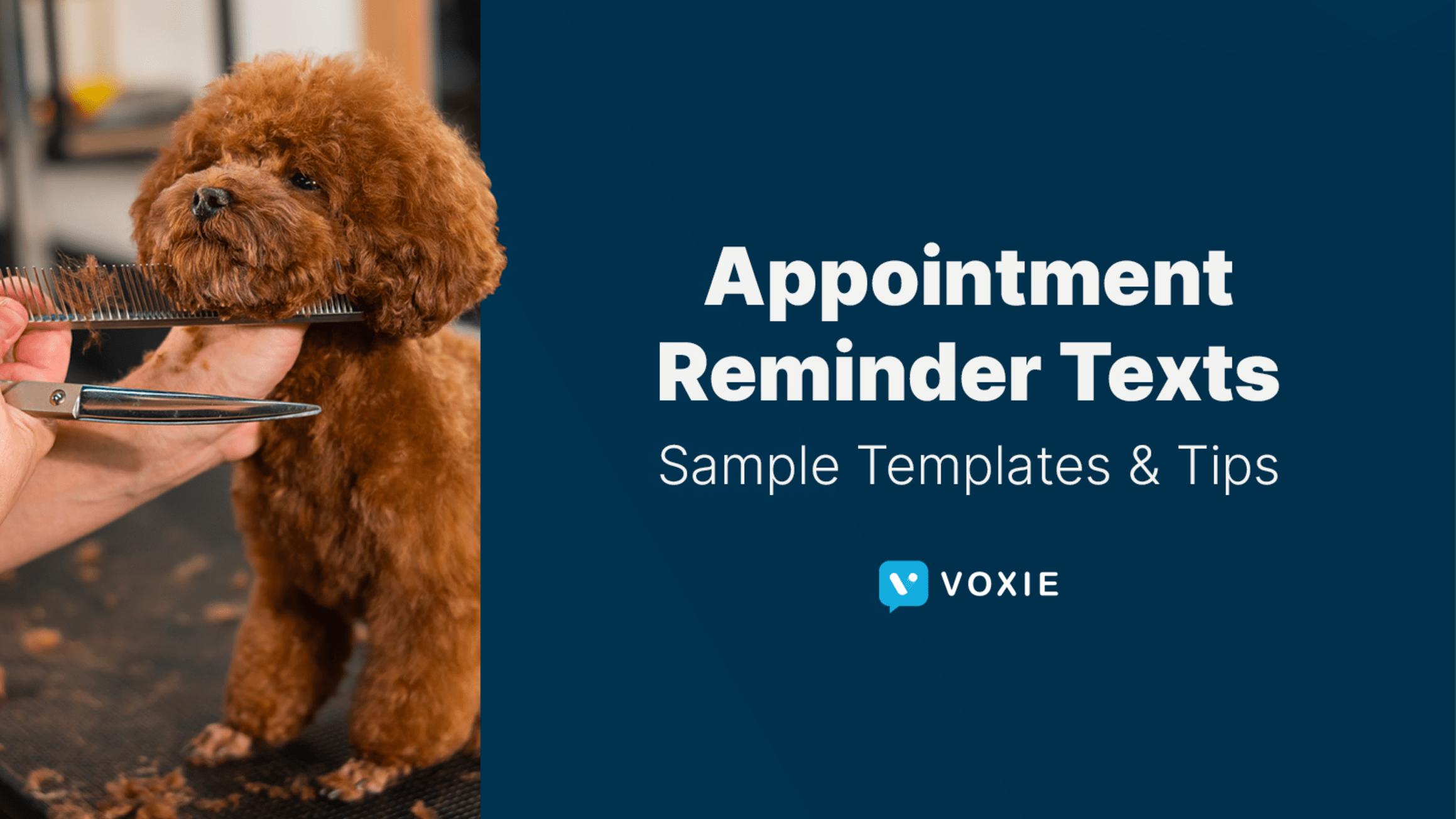 Sample templates and tips for appointment reminder text messages.