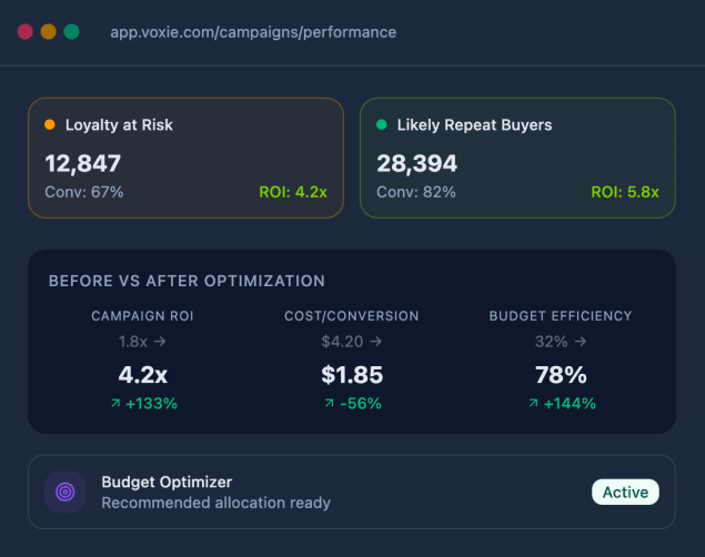 Budget_Optimizer_Concept_Voxie.png