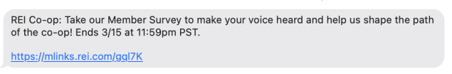 REI_Text_Example.png