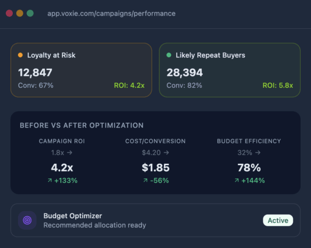 Budget_Optimizer_Visualization.png