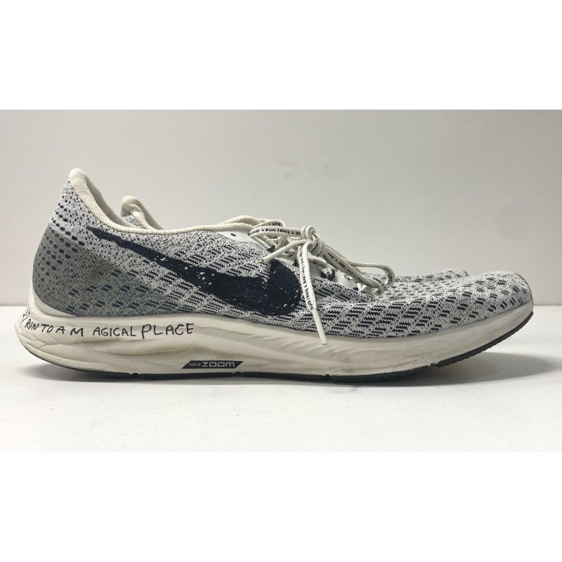 Pegasus 35 nike zoom on sale