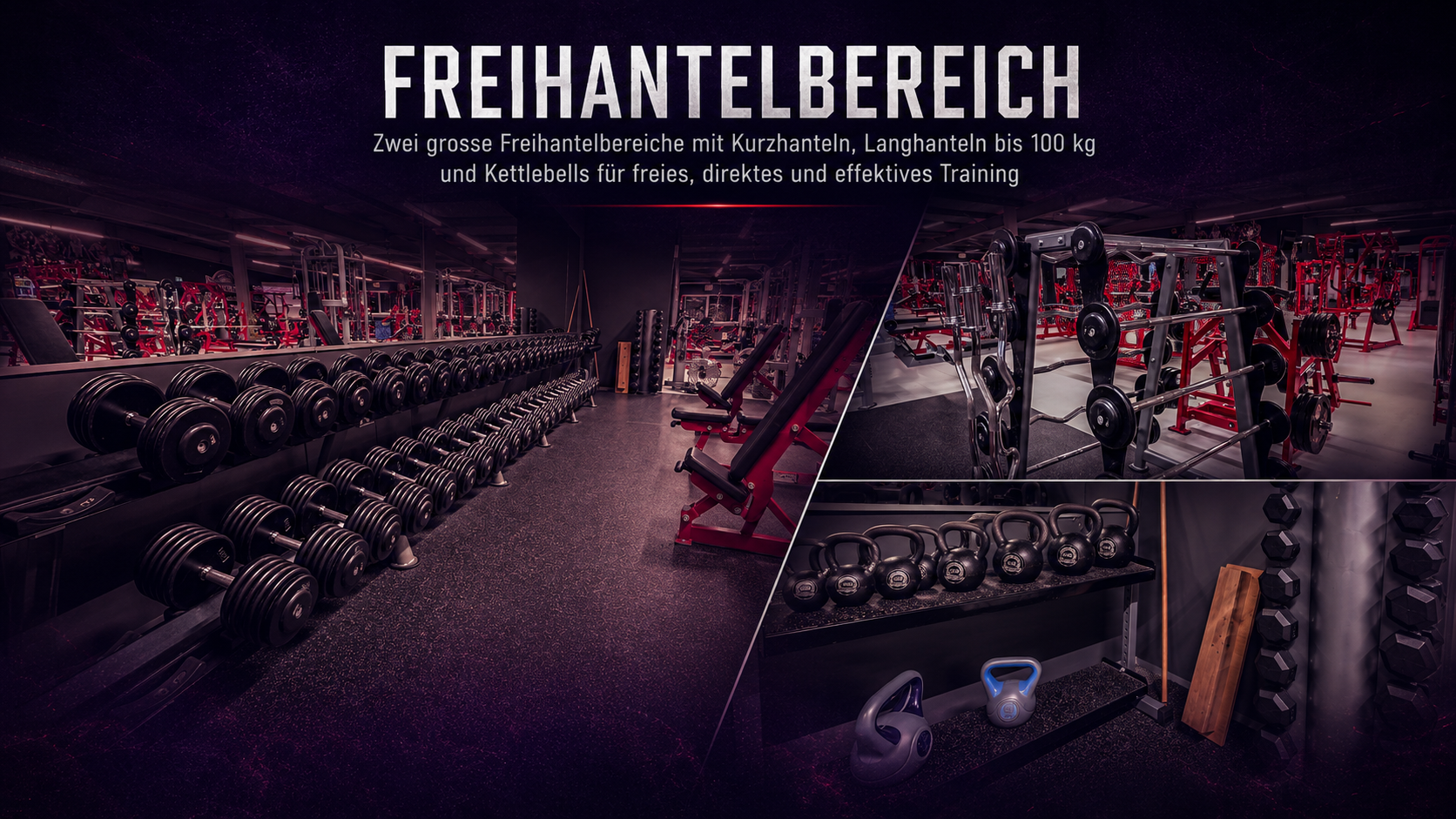 Hantelbereich