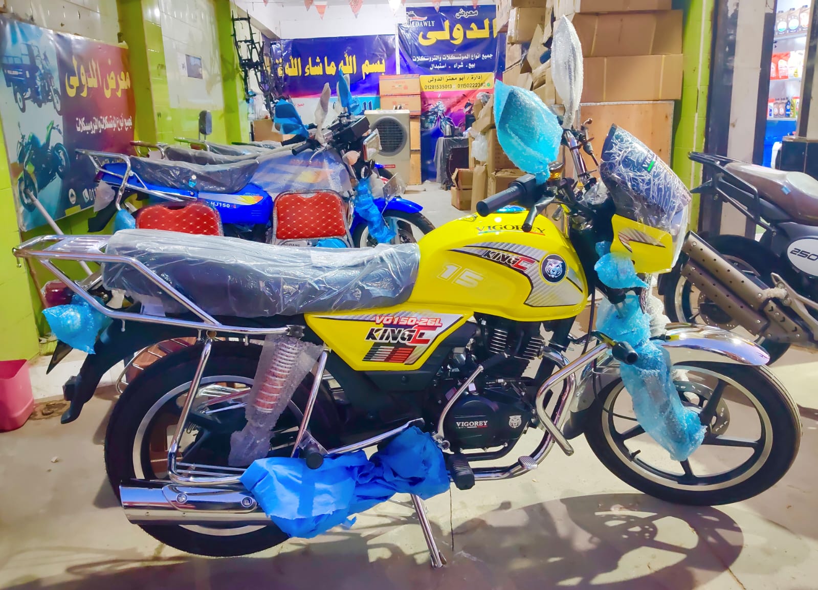 فيجورى26 اصلى 2026 - 4