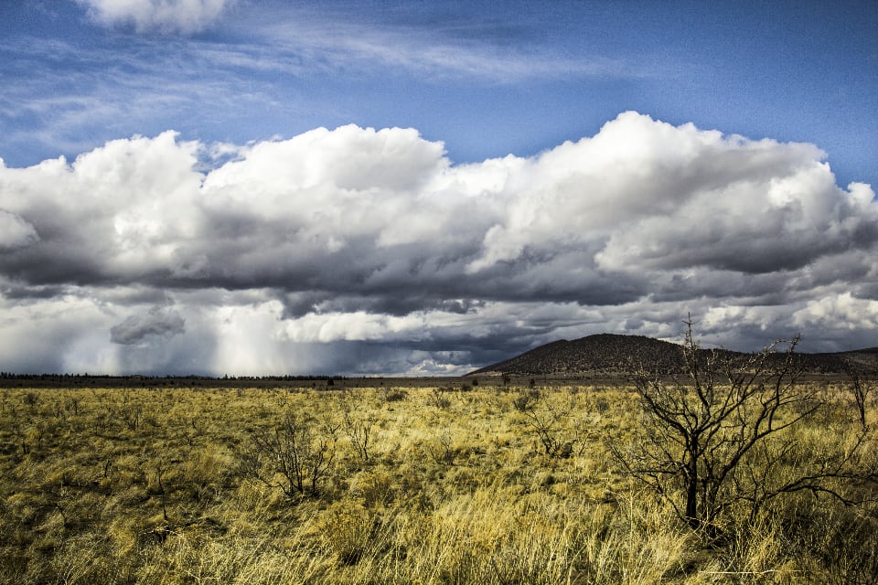 View Lot in Camino Real
