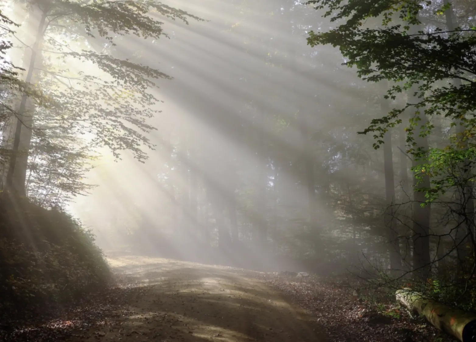 10 Minute Morning Workouts to Kickstart Your Day