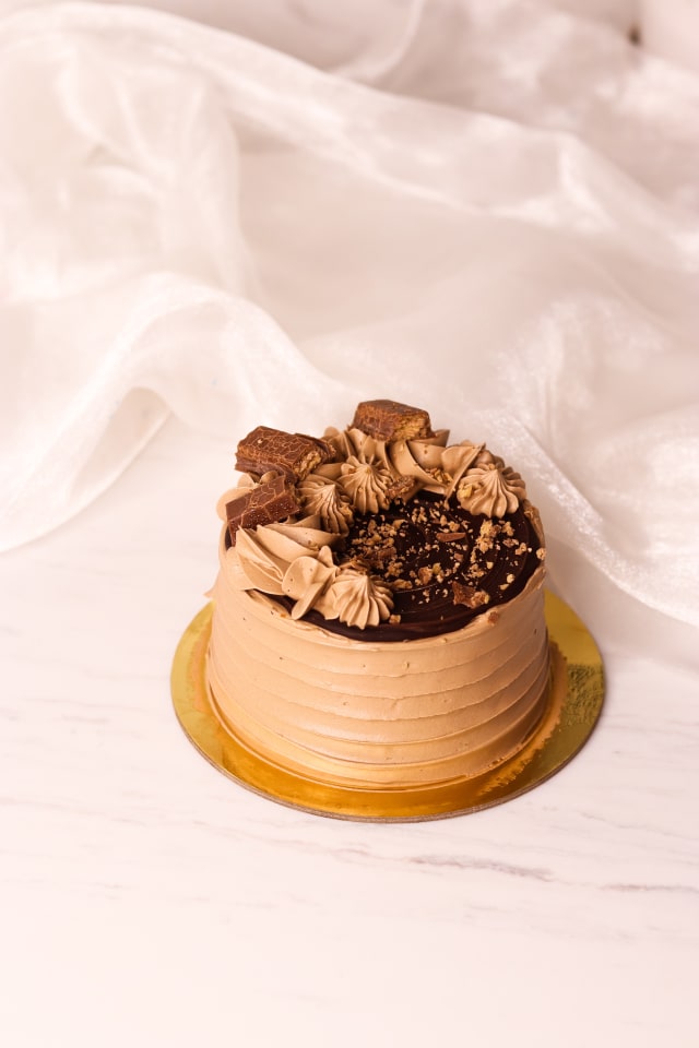 Belgium Chocolate Bento